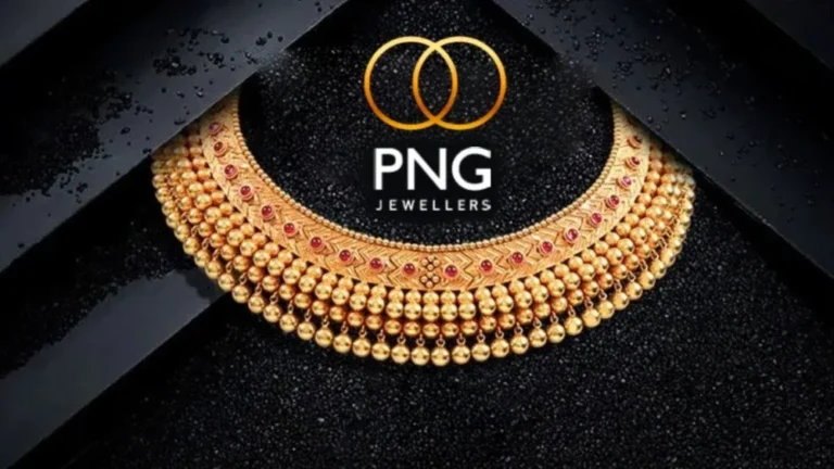 png jewellers share price bse