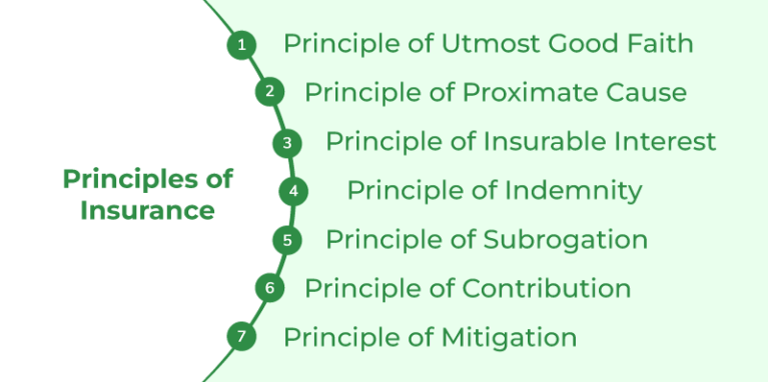 principles of insurance